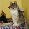 Отзыв от Евгения Круглова
